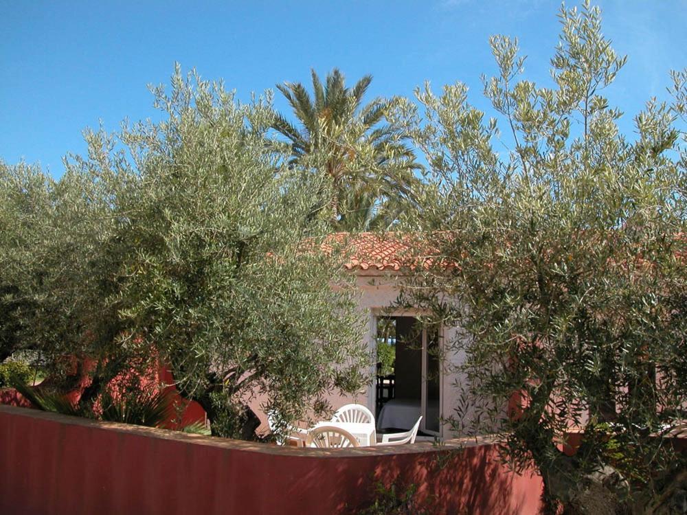 Oasis De Palmeras Bolnuevo