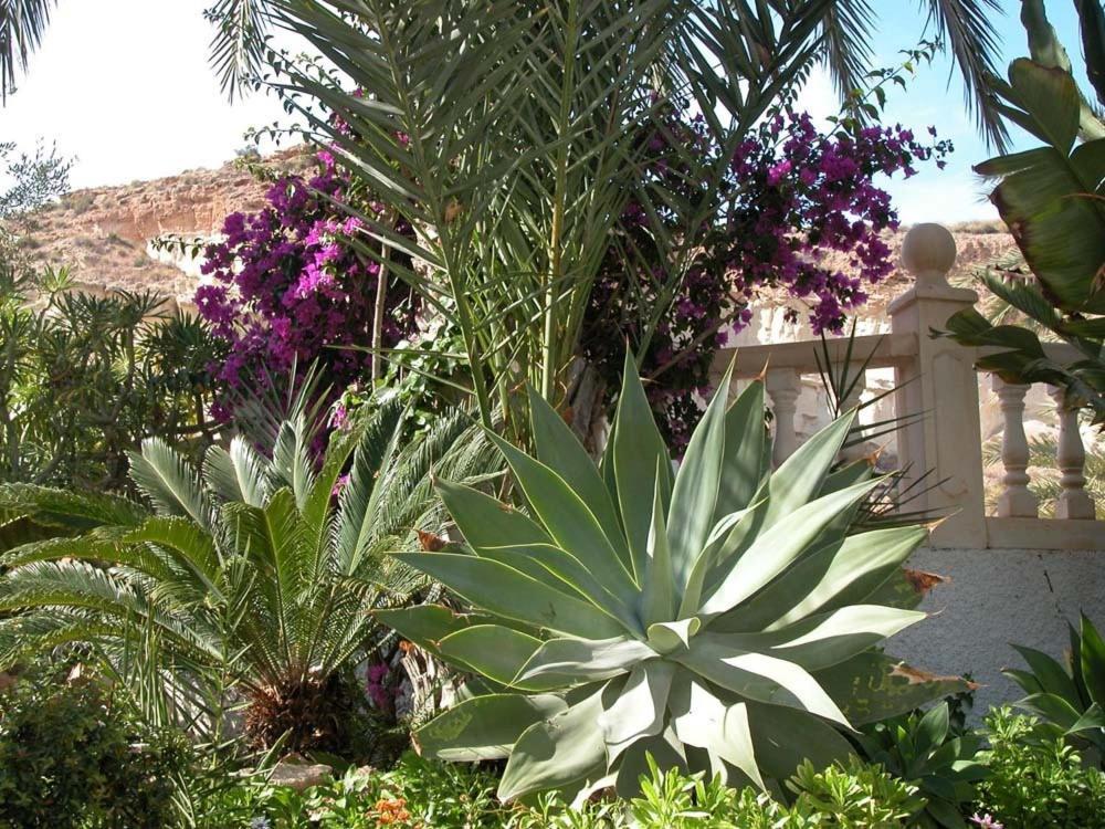 Oasis De Palmeras Resort