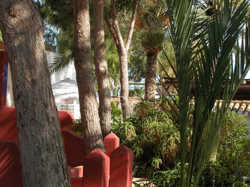 Resort Oasis De Palmeras *