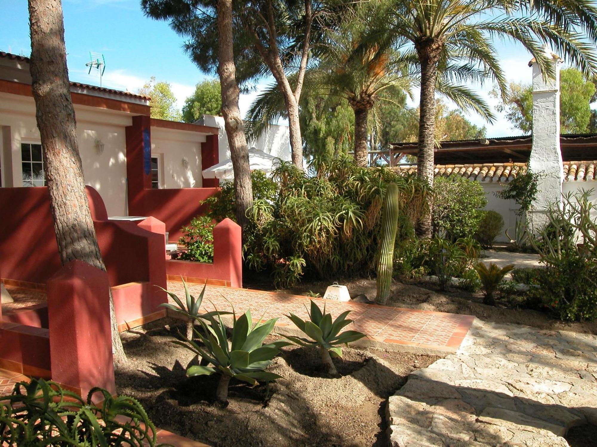 Oasis De Palmeras